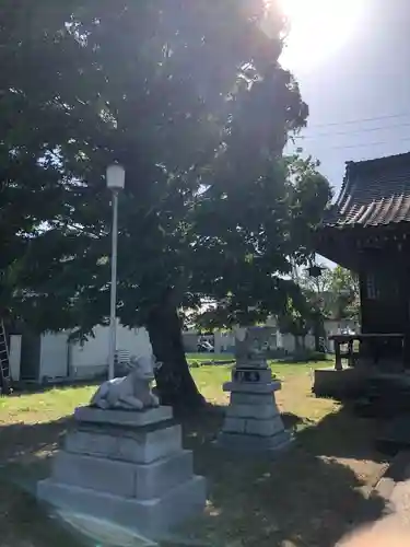 日吉神社(福井県)