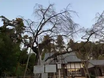福星寺(千葉県)