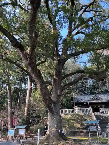 事任八幡宮(静岡県)