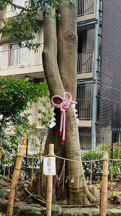 伊和志津神社の自然