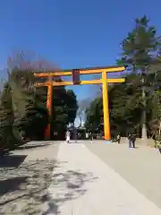 川越氷川神社(埼玉県)