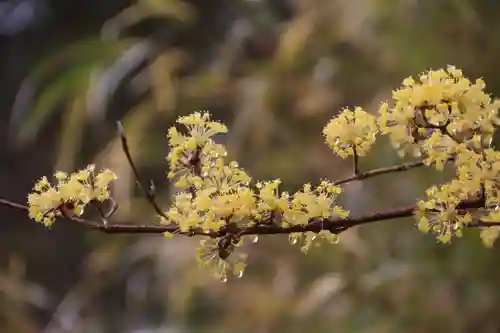 豊景神社の庭園