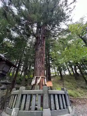 諏訪大社下社春宮(長野県)