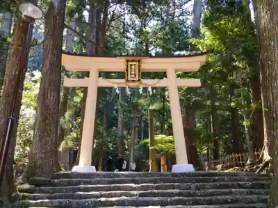 飛瀧神社(熊野那智大社別宮)の鳥居