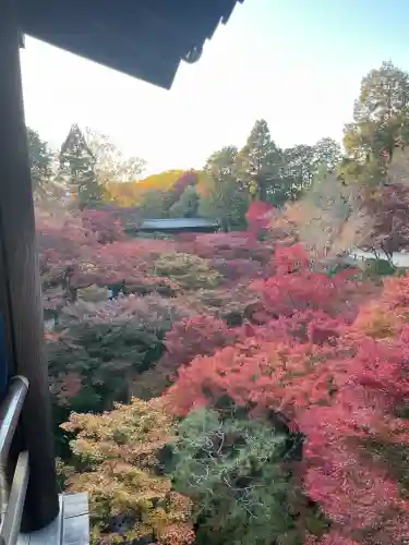 東福禅寺（東福寺）(京都府)