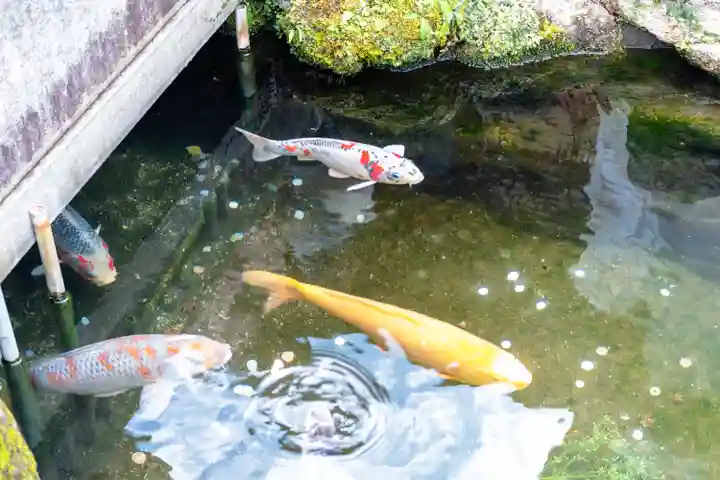 太宰府天満宮(福岡県)