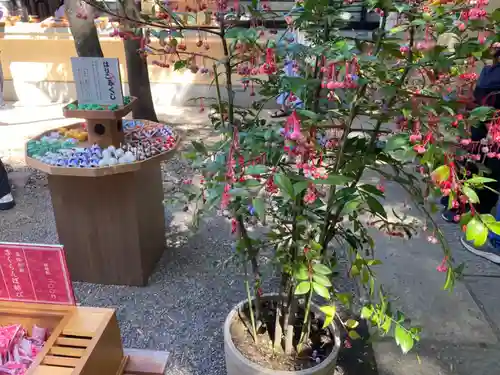 赤坂氷川神社(東京都)