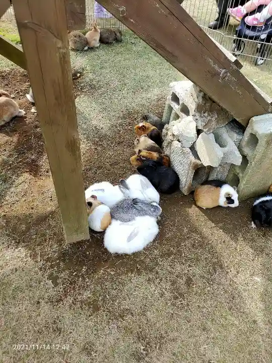 東本願寺本廟 牛久浄苑(牛久大仏)の動物