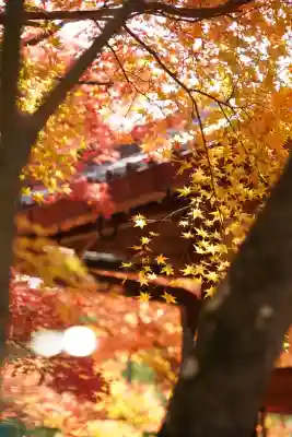 今熊野観音寺(京都府)