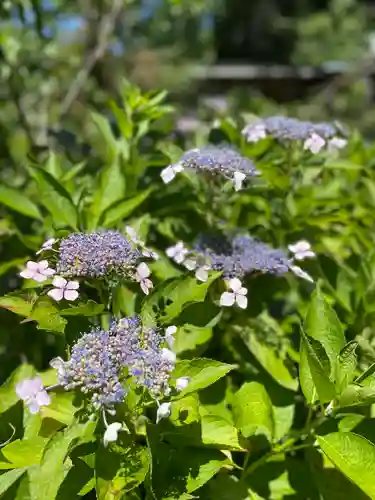 極楽寺(静岡県)
