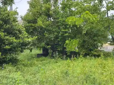 島名神社(群馬県)