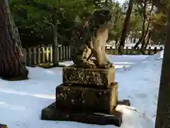 天橋立神社の狛犬