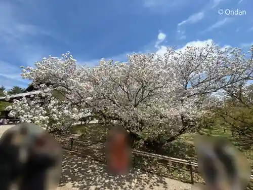 仁和寺(京都府)