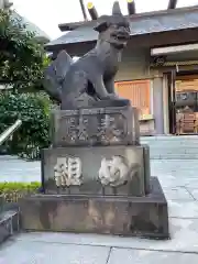 芝大神宮の狛犬