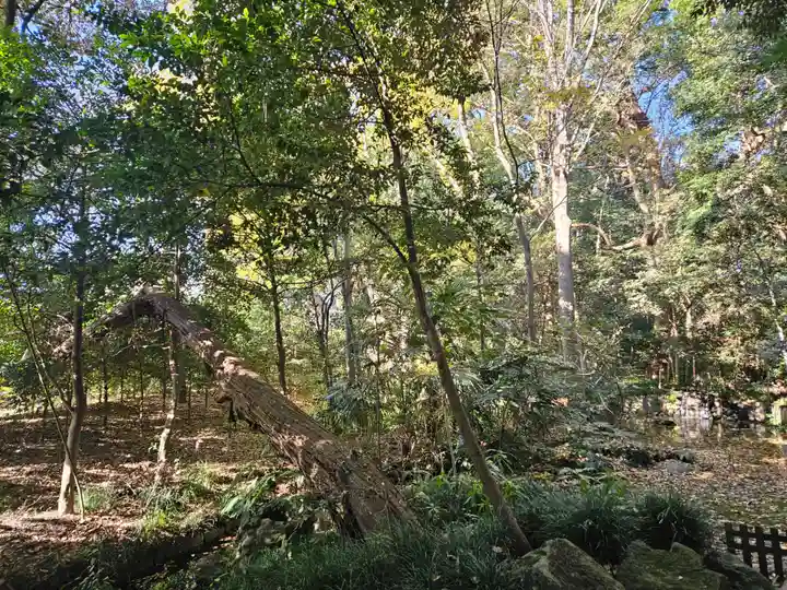 武蔵一宮氷川神社(埼玉県)