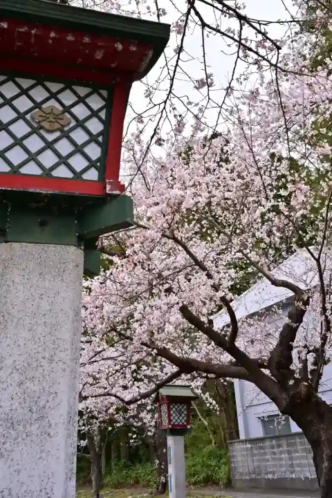 彌彦神社(新潟県)
