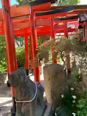 尼崎えびす神社(兵庫県)