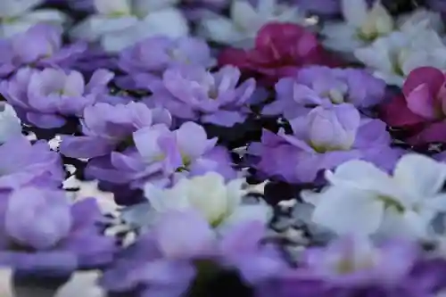 阿邪訶根神社の手水舎