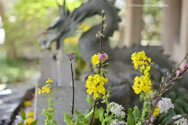 所澤神明社(埼玉県)