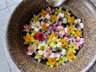 美瑛神社の手水舎