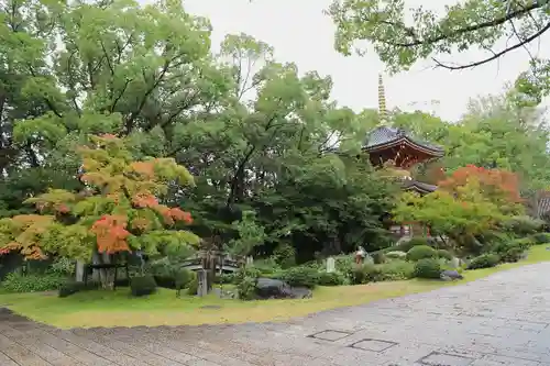 温泉山 安楽寺(四国霊場第六番札所)の庭園