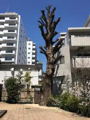 高輪神社のその他建物