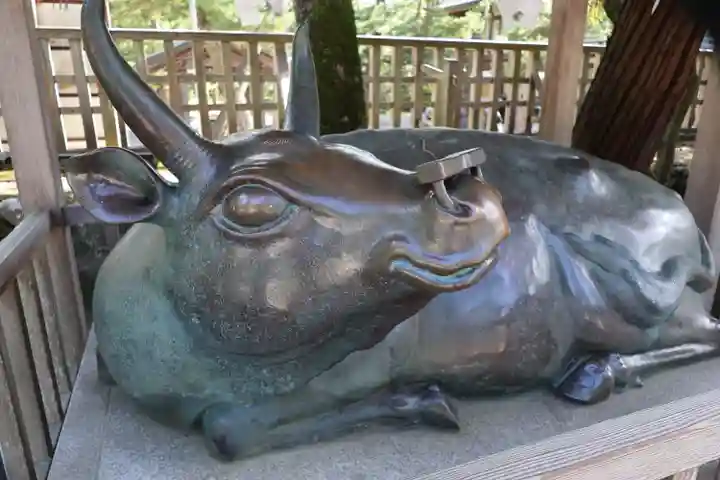 出雲大社(島根県)