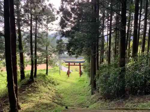 熊野神社の鳥居