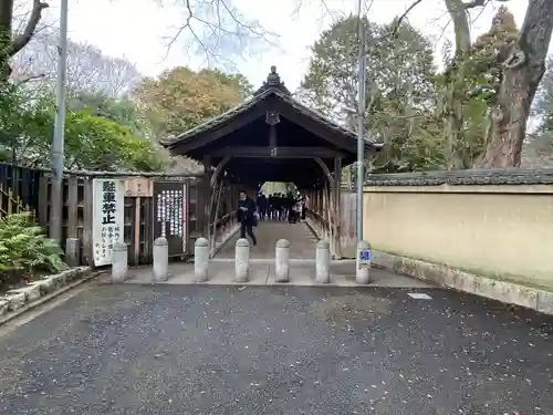 東福禅寺（東福寺）(京都府)