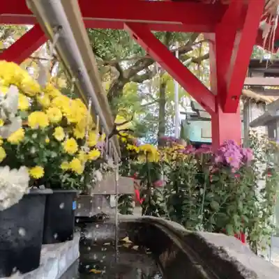 美奈宜神社の手水舎