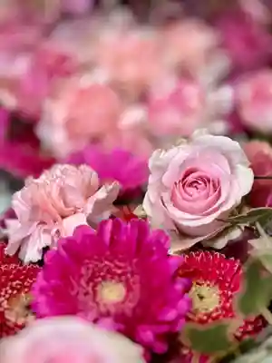 札幌諏訪神社の手水舎