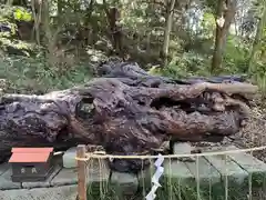 泉神社(茨城県)