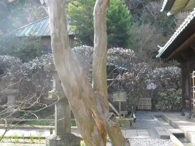 英勝寺のその他建物