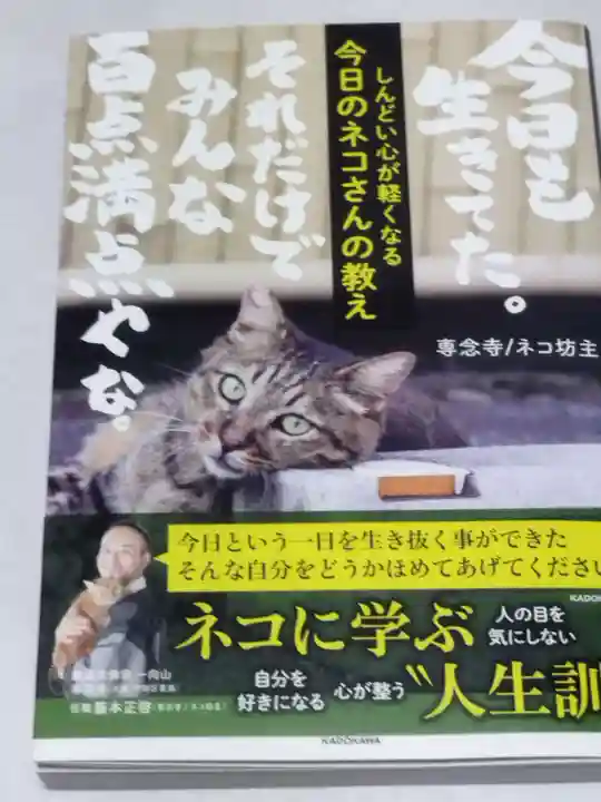 如願寺(大阪府)