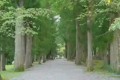 大斎原（熊野本宮大社旧社地）のその他建物