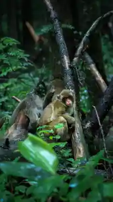 穂高神社奥宮(長野県)
