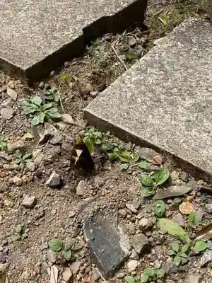 日龍峯寺(高澤観音)(美濃清水)(岐阜県)