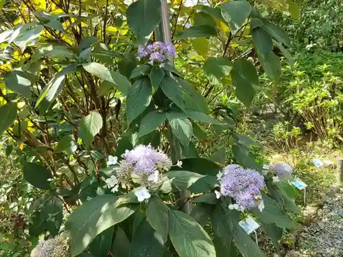 三光寺(岐阜県)