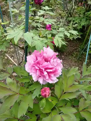 本覚寺(岐阜県)