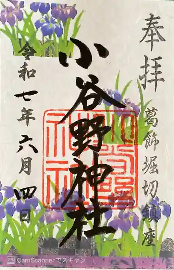 堀切天祖神社の御朱印 2025年06月