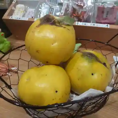 七重浜海津見神社(北海道)