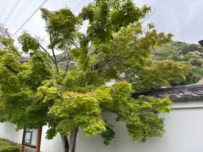 永興寺(山口県)