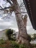 護王姫社(神奈川県)