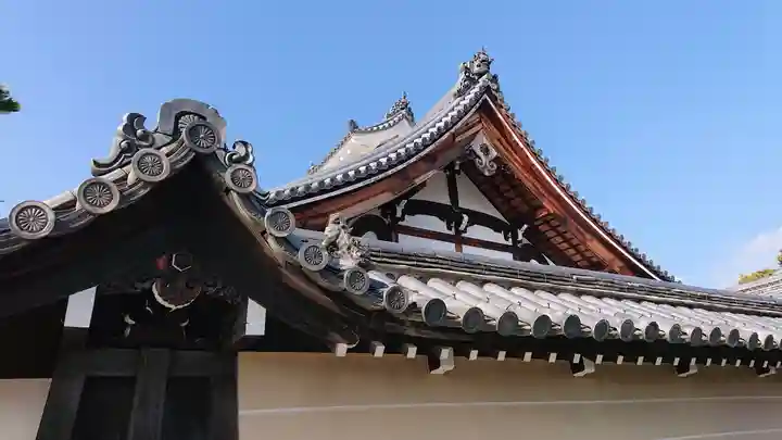 妙心寺(妙心禅寺)(京都府)