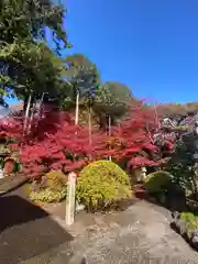 崇禅寺(群馬県)