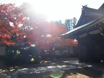 天徳院(和歌山県)