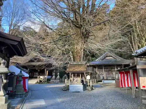 正法寺(滋賀県)