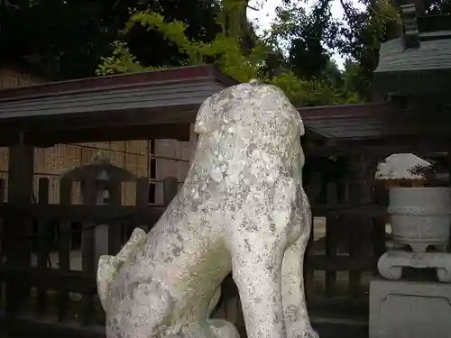 玉祖神社の狛犬