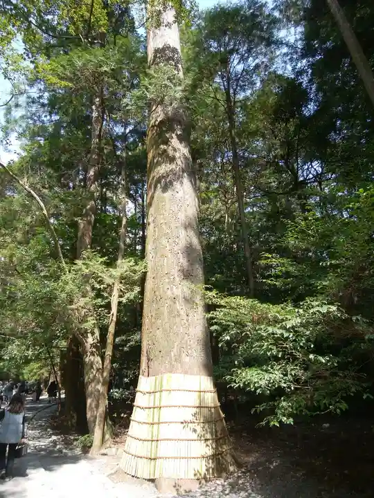 伊勢神宮内宮(皇大神宮)(三重県)