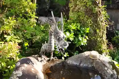 津照寺(高知県)